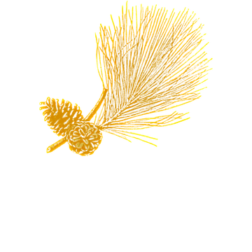 Pineridge Press