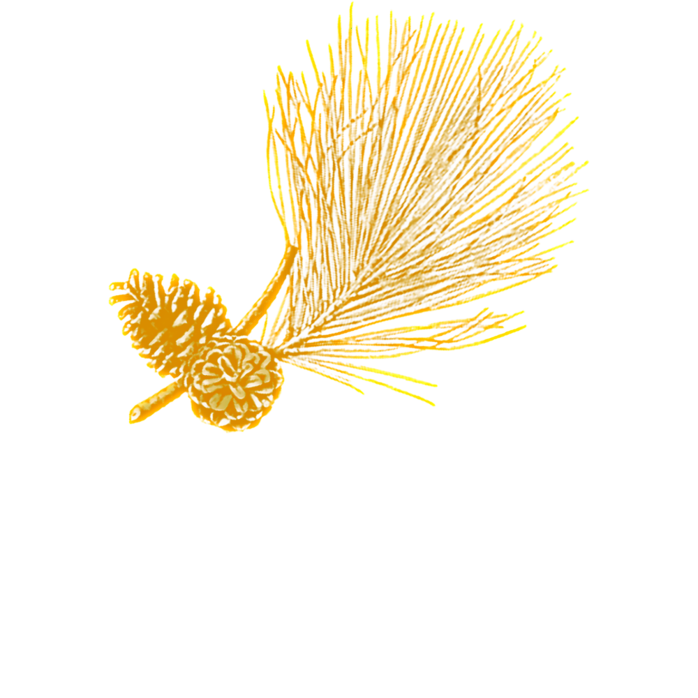 Pineridge Press